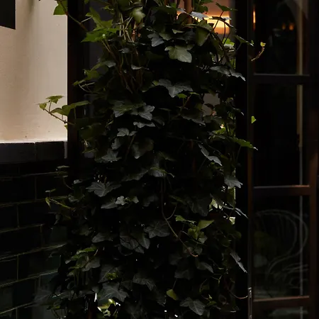 Monsieur George & - Champs-elysees Hotel