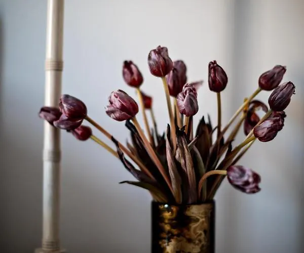 Monsieur George & - Champs-elysees 5*