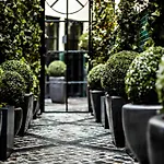 Monsieur George & - Champs-elysees Hotel Parijs