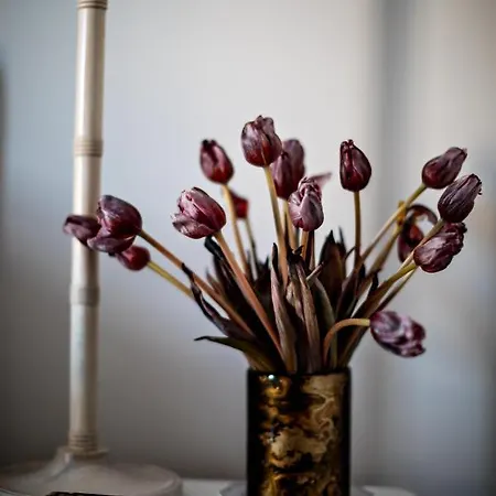 Monsieur George & - Champs-elysees 5*